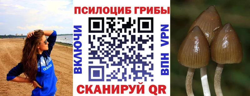 Псилоцибиновые грибы мицелий  mega сайт  Камешково 